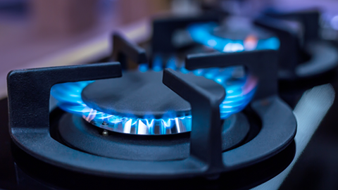Rijk gas
